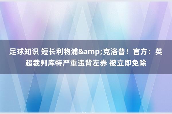 足球知识 短长利物浦&克洛普！官方：英超裁判库特严重违背左券 被立即免除