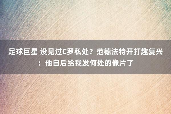 足球巨星 没见过C罗私处？范德法特开打趣复兴：他自后给我发何处的像片了