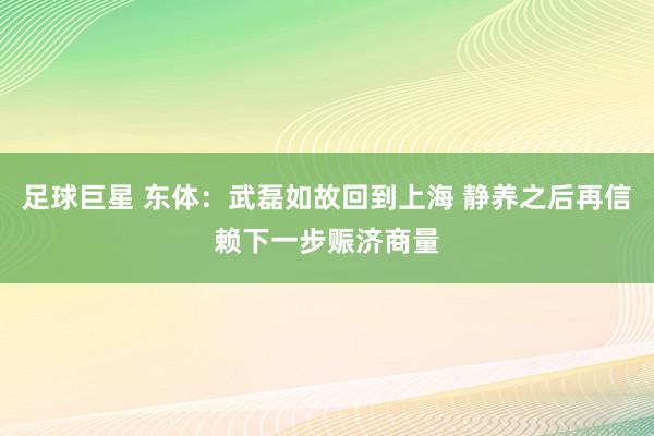 足球巨星 东体：武磊如故回到上海 静养之后再信赖下一步赈济商量