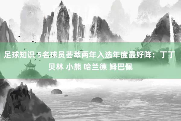 足球知识 5名球员荟萃两年入选年度最好阵：丁丁 贝林 小熊 哈兰德 姆巴佩